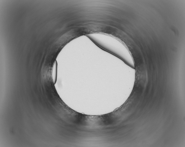 X0000110910141200907301549