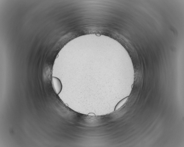 X0000110910142200907301549