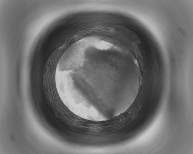 X0000110910143200907301549