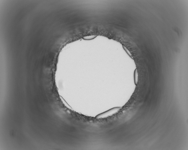 X0000110910144200907301549