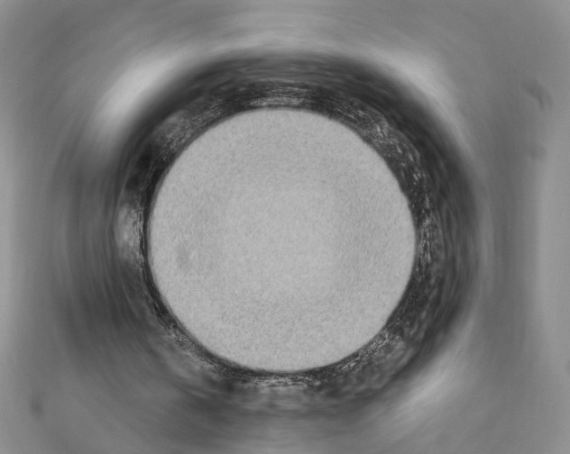 X0000110910146200907301549