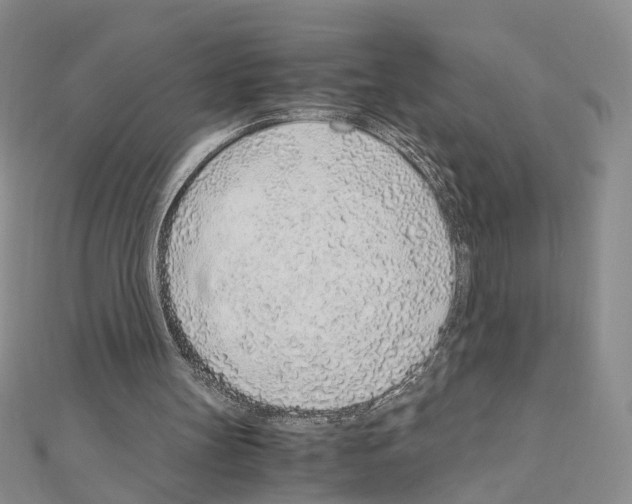 X0000110910147200907301549