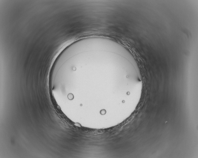 X0000110910148200907301549