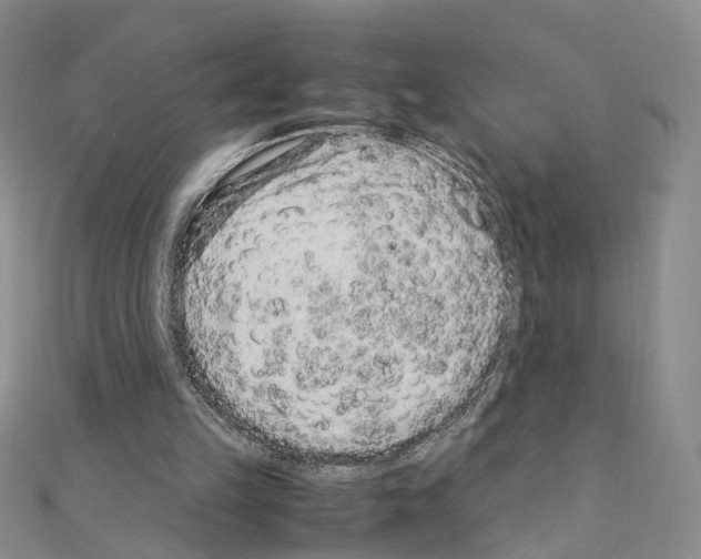 X0000110910149200907301549