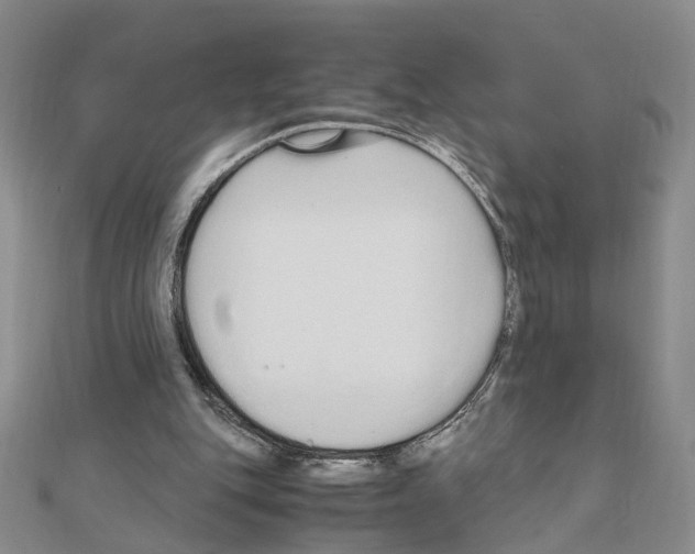 X0000110910151200907301549