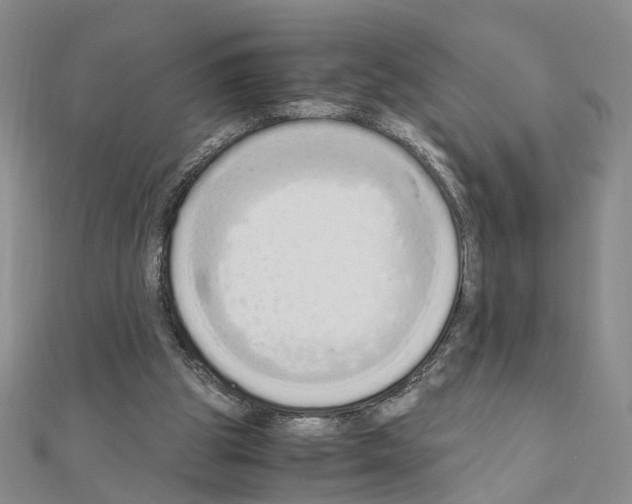 X0000110910153200907301549