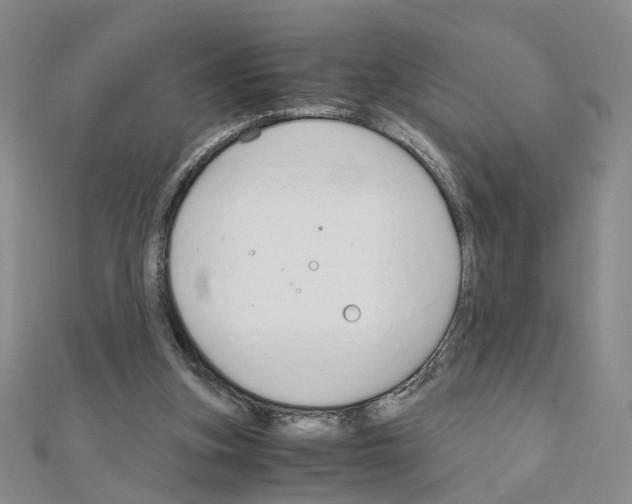 X0000110910155200907301549