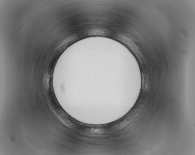 X0000110910157200907301549