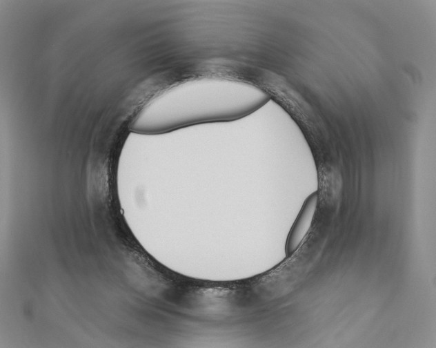 X0000110910158200907301549