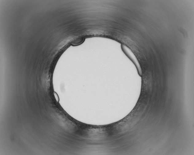 X0000110910160200907301549