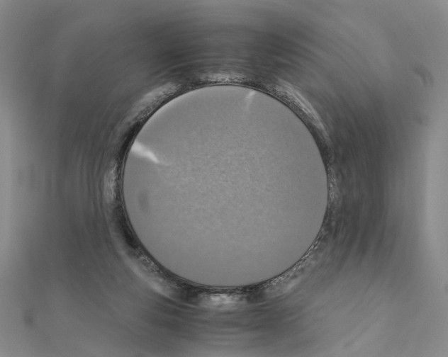 X0000110910163200907301549