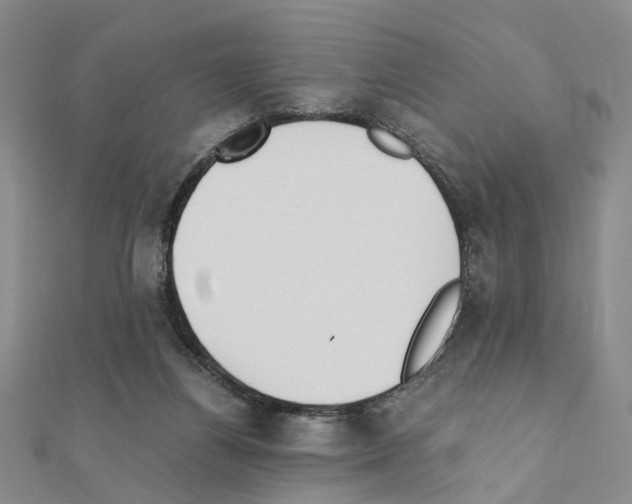 X0000110910164200907301549