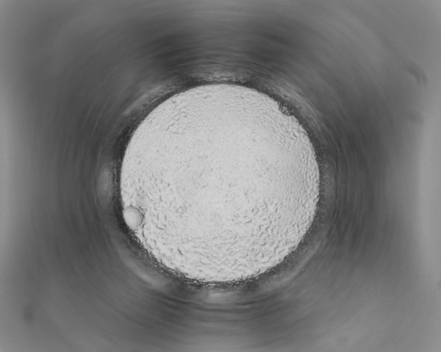 X0000110910165200907301549