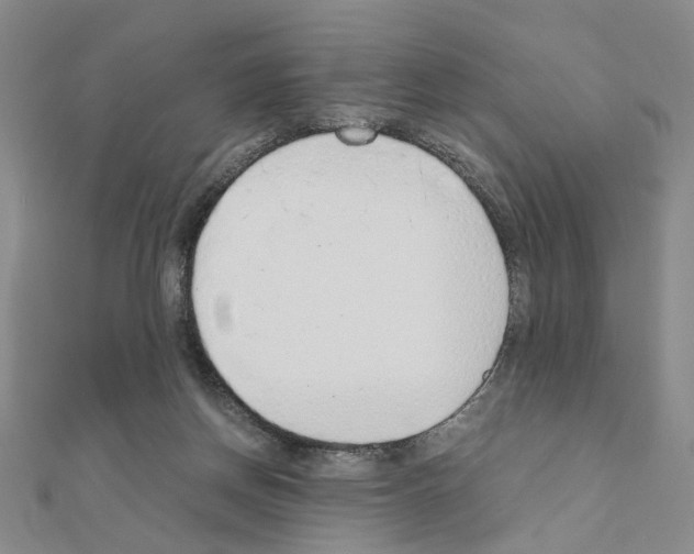 X0000110910166200907301549