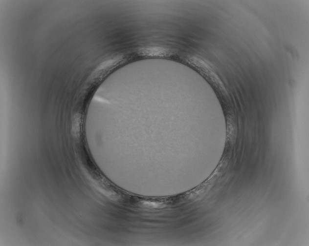 X0000110910167200907301549