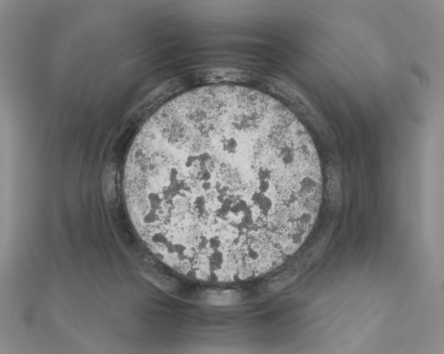 X0000110910169200907301549