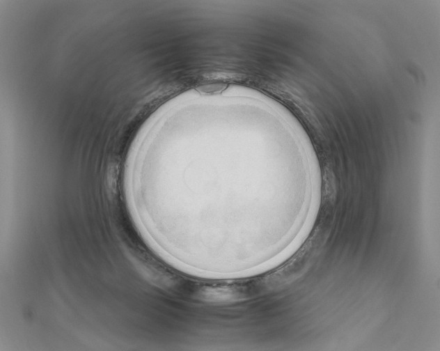 X0000110910171200907301549