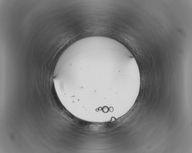 X0000110910172200907301549