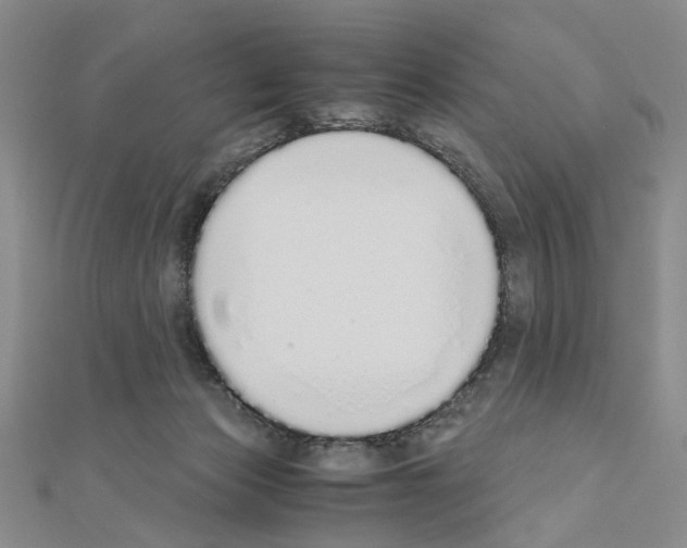 X0000110910173200907301549