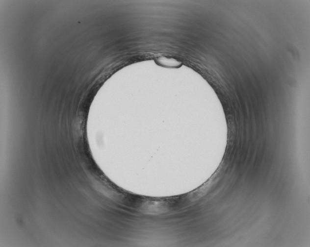 X0000110910174200907301549