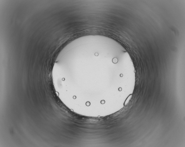 X0000110910176200907301549