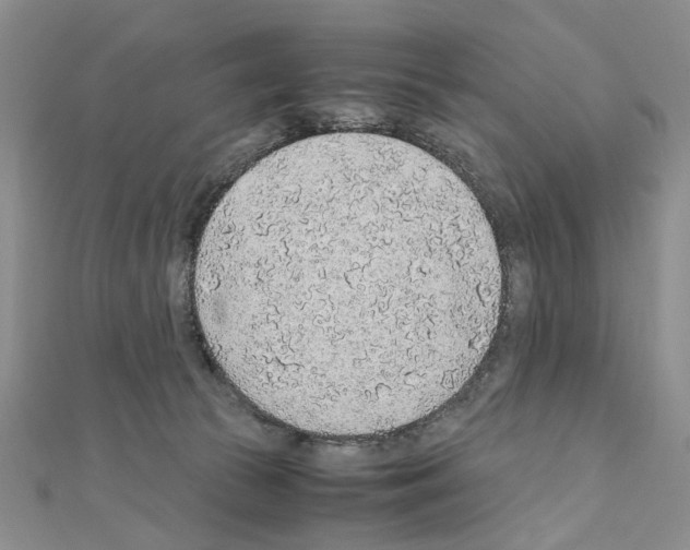 X0000110910177200907301549