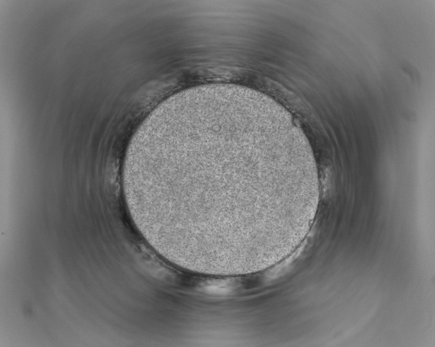 X0000110910178200907301549