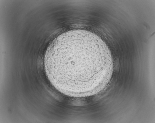 X0000110910179200907301549