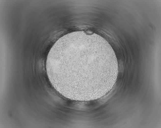 X0000110910182200907301549