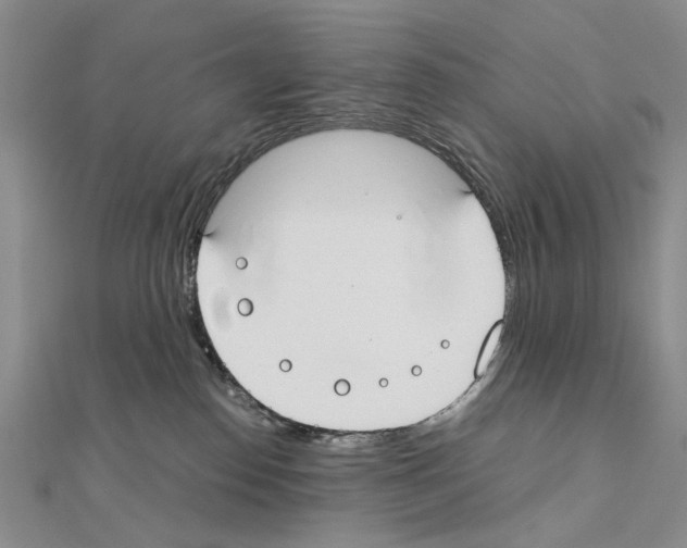 X0000110910186200907301549