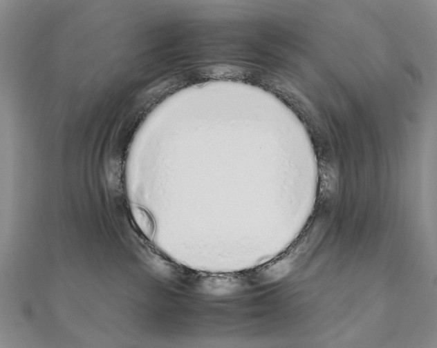 X0000110910189200907301549