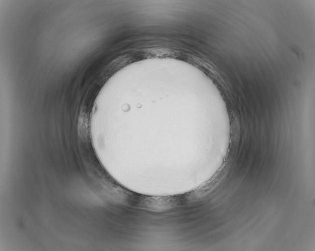 X0000110910191200907301549