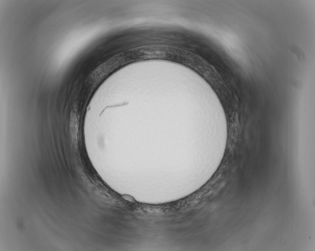 X0000110910194200907301549