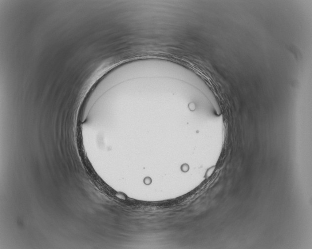 X0000110910195200907301549