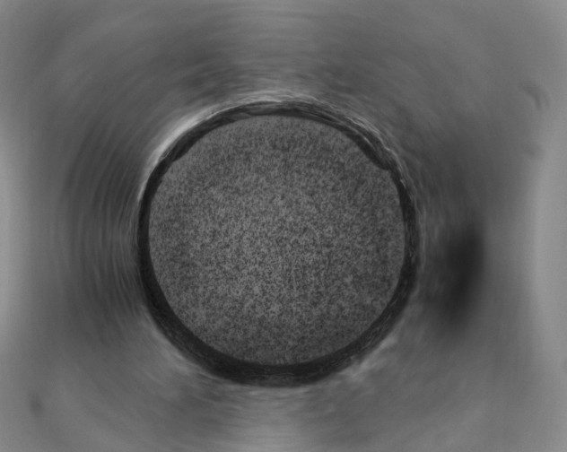 X0000110910196200907301549