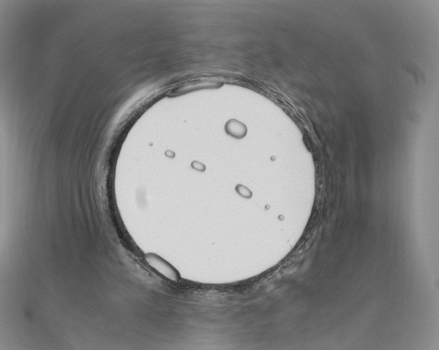 X0000110910197200907301549