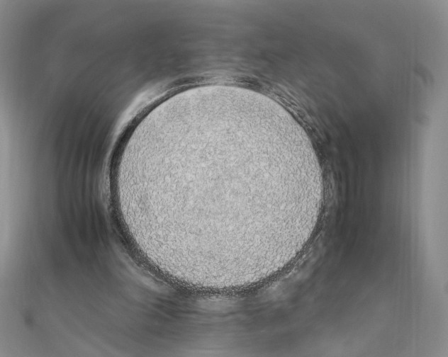 X0000110910198200907301549