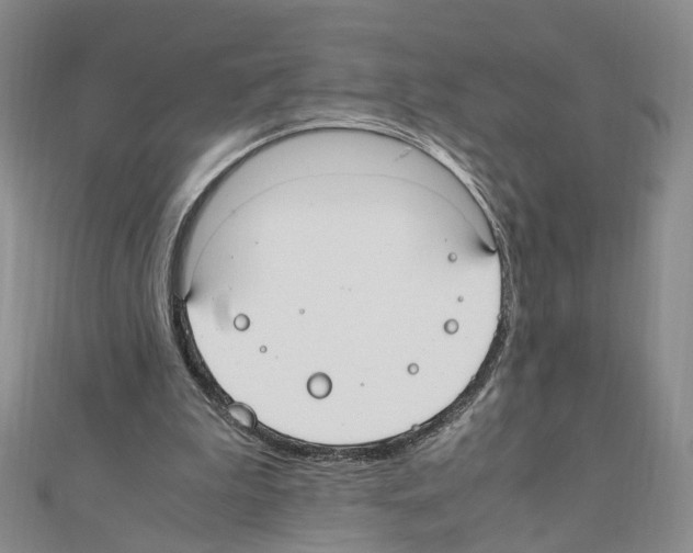 X0000110910199200907301549