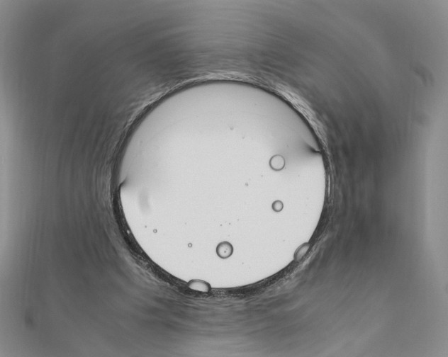 X0000110910201200907301548