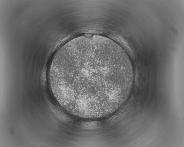 X0000110910202200907301548