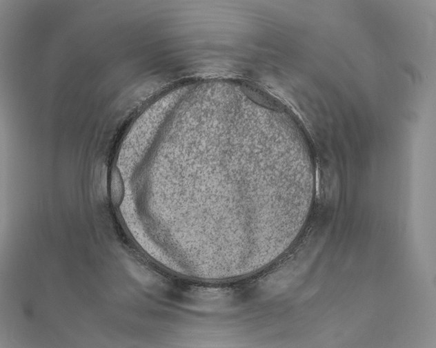 X0000110910205200907301548