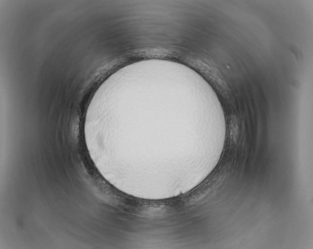 X0000110910206200907301548