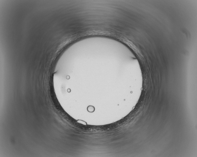 X0000110910207200907301548