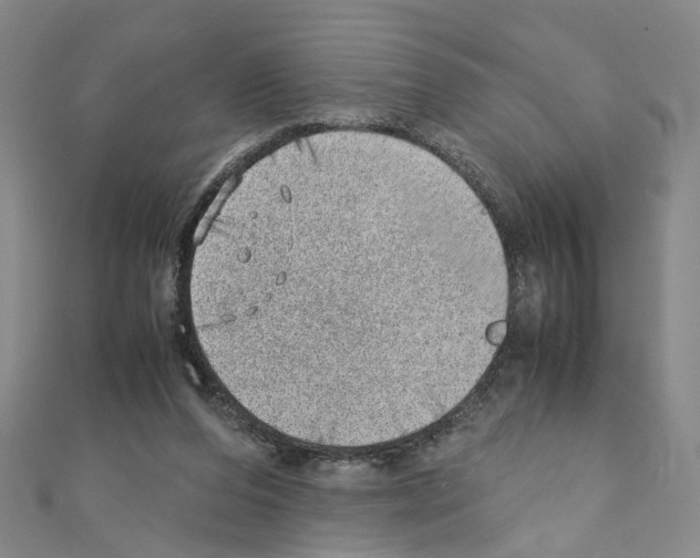 X0000110910208200907301548