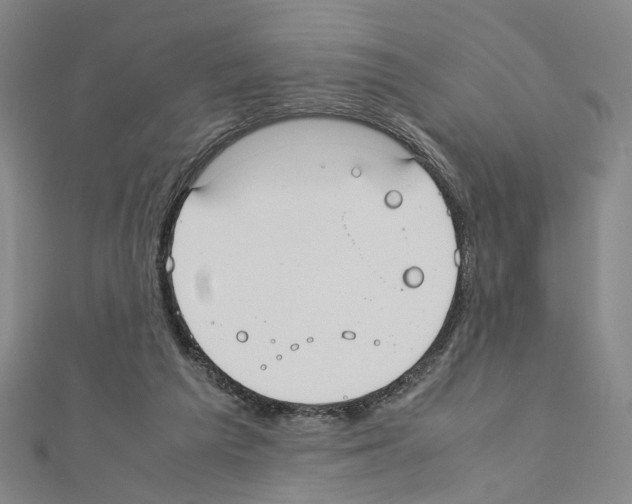 X0000110910209200907301548