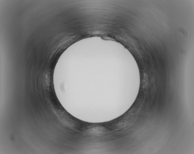 X0000110910210200907301548