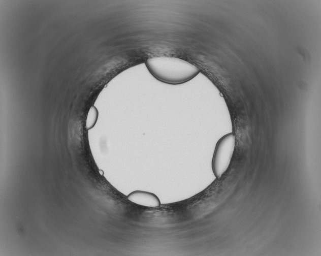 X0000110910211200907301548