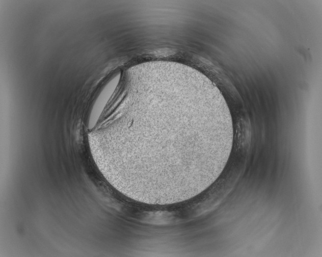 X0000110910212200907301548