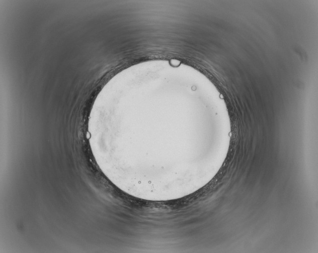 X0000110910215200907301548