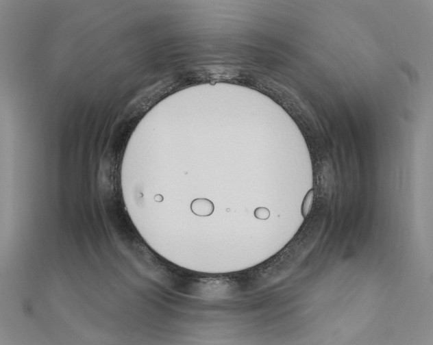 X0000110910218200907301548